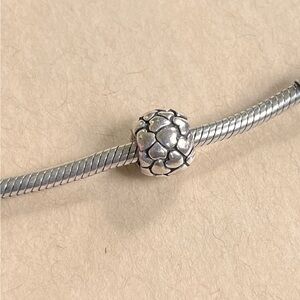 Pandora heart cluster charm